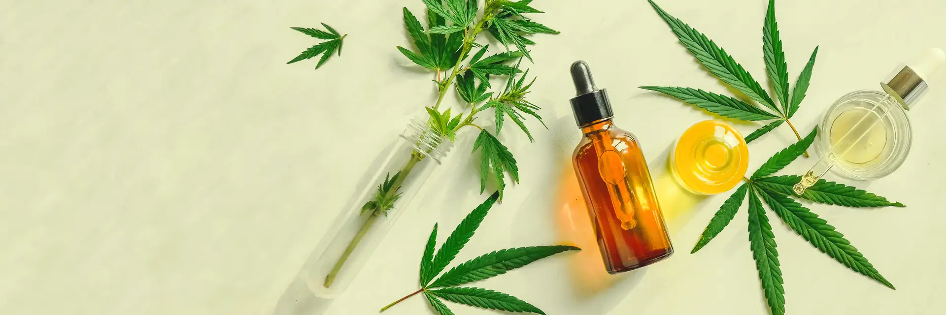 Cannabis (1)