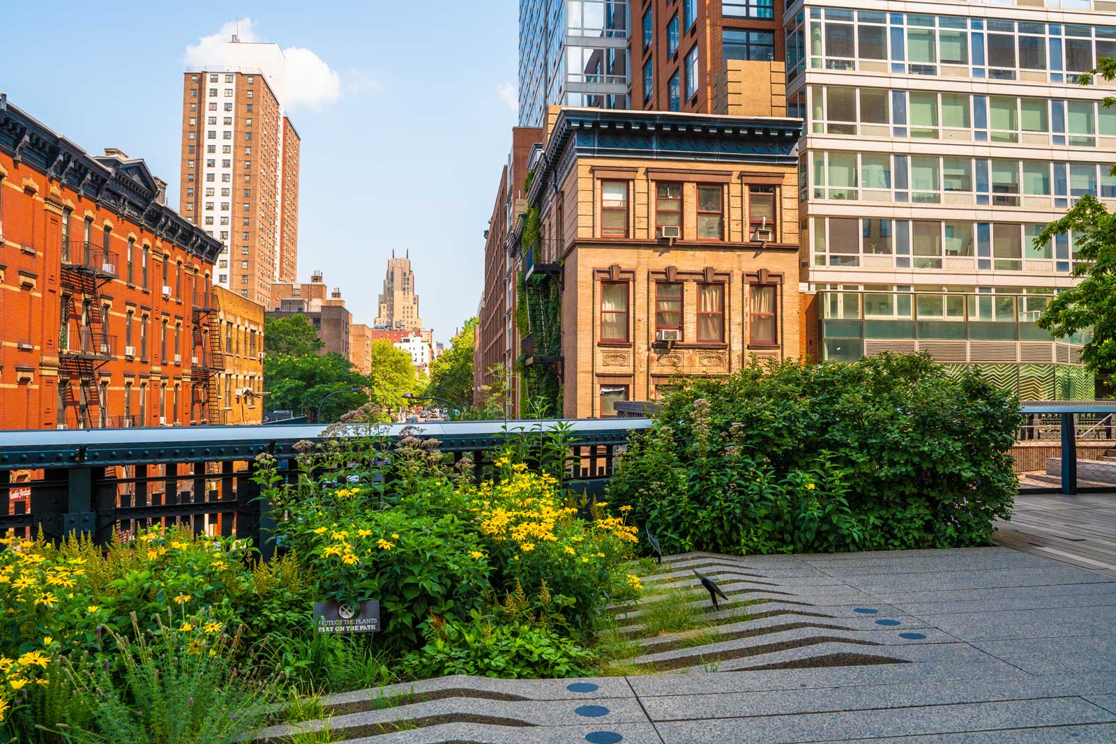 Scene from High Line Park in New York City Manhattan